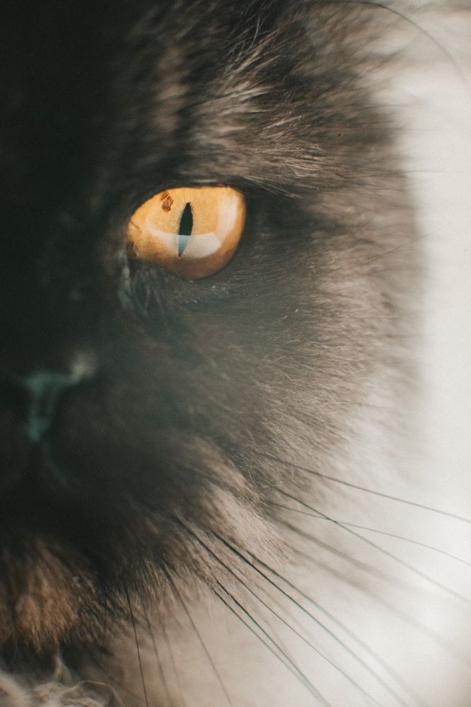 Photograph by Анна Белка