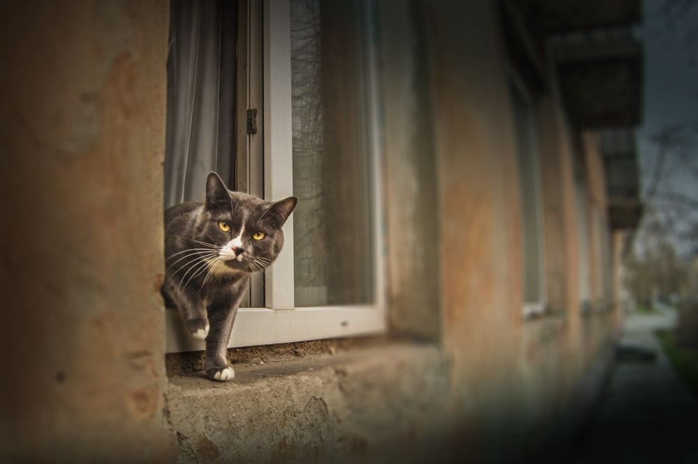 Photograph by Дмитрий Петровский