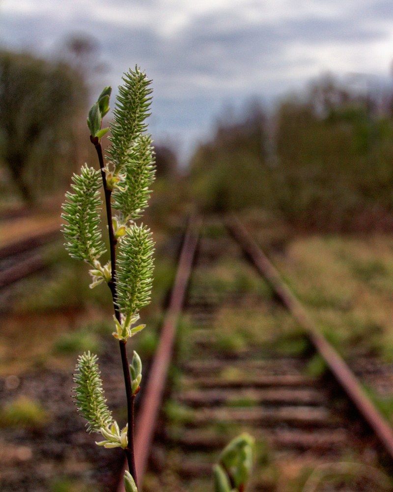 Весна на железной дороге