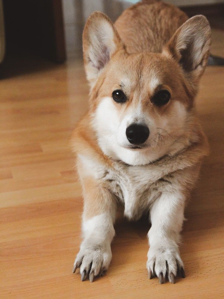 Photograph by Кристина Шацкая