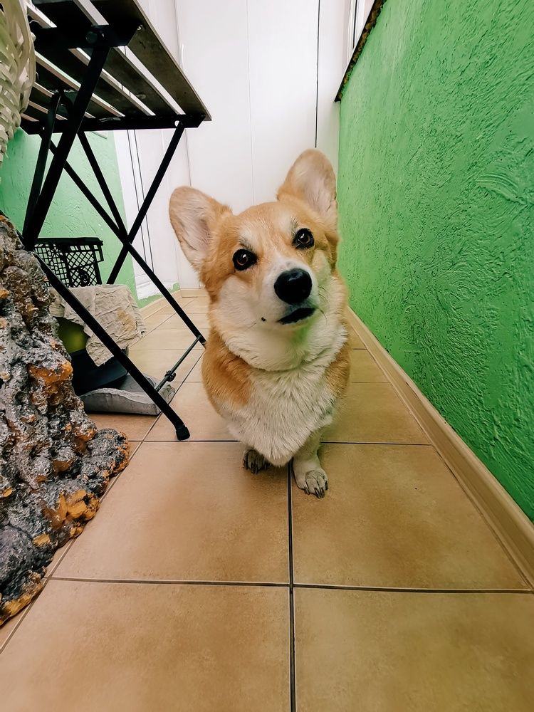 Photograph by Кристина Шацкая