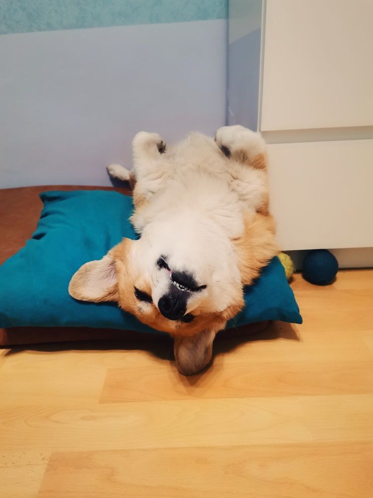 Photograph by Кристина Шацкая