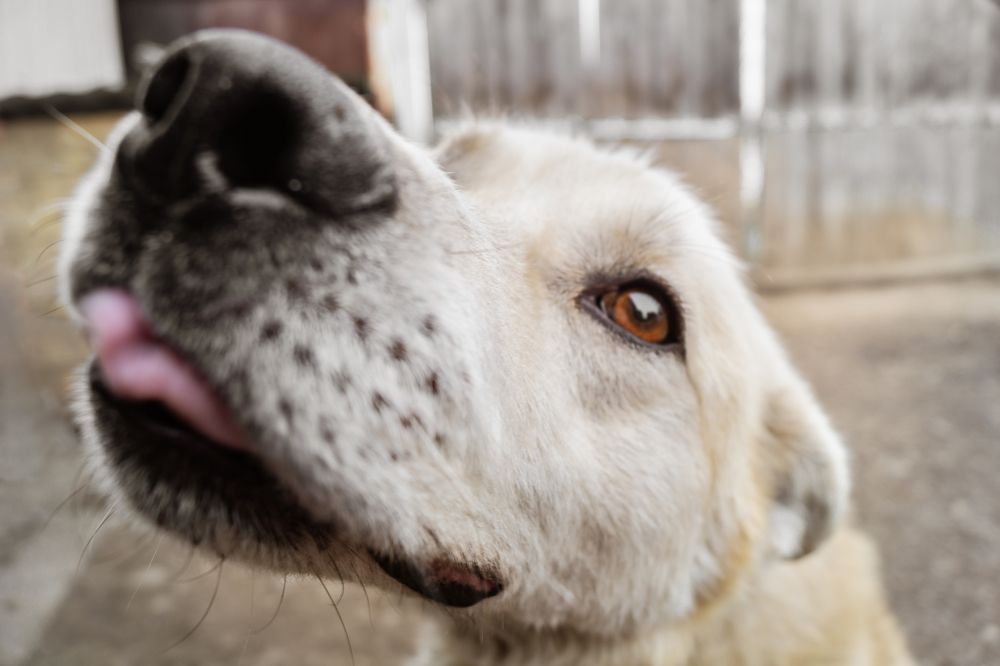 Photograph by Диана Кошелева