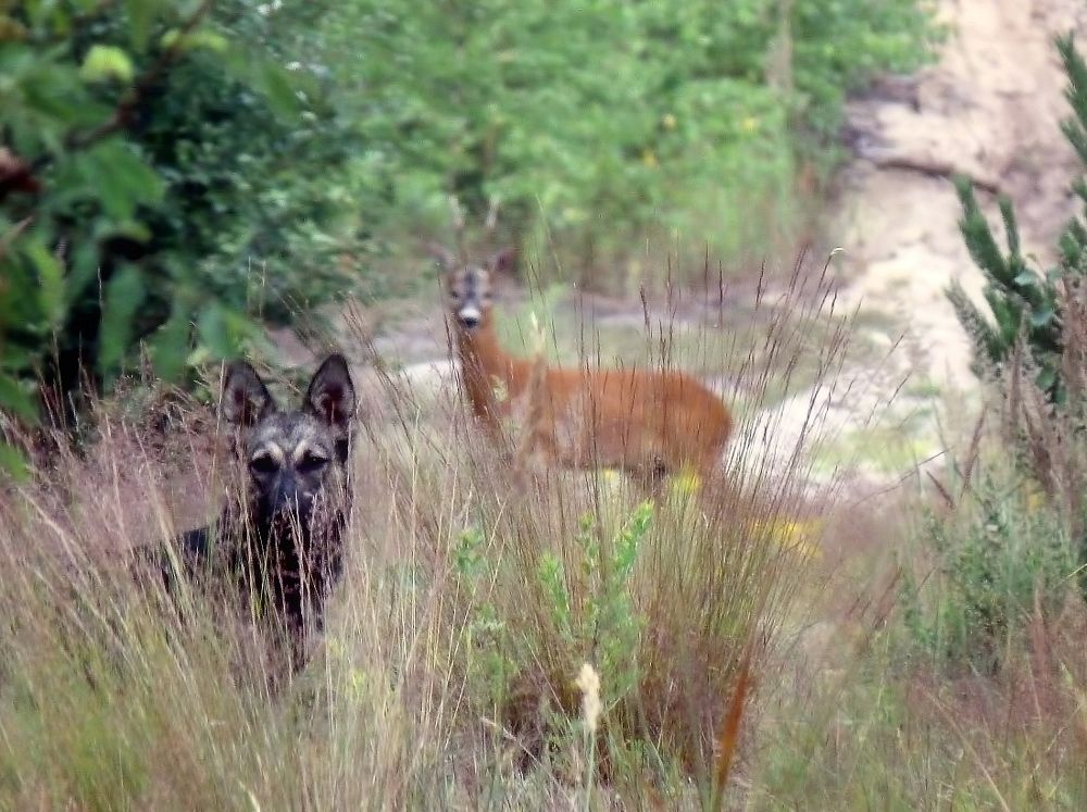Фотография автора Роман Савоцкий