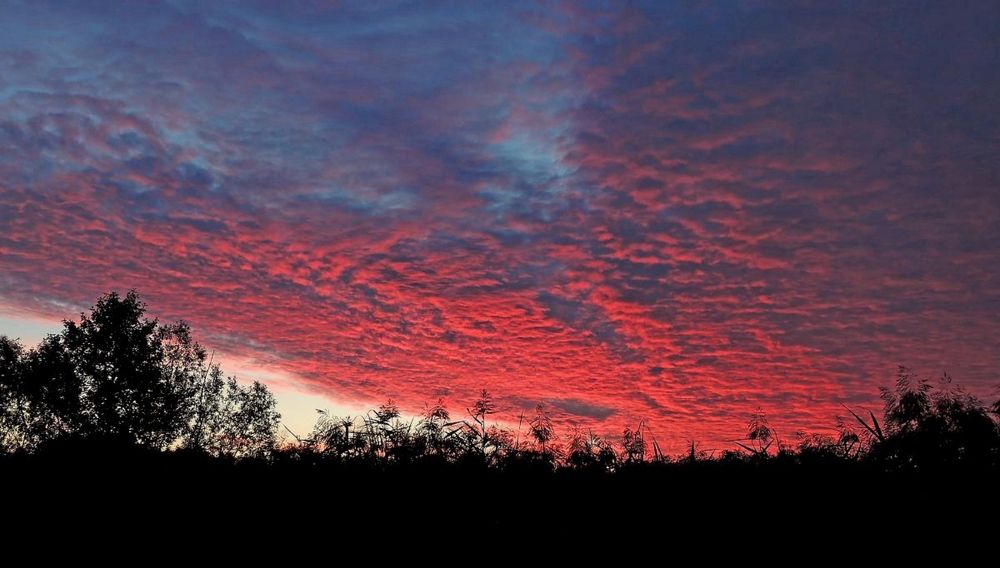 Фотография автора Роман Савоцкий