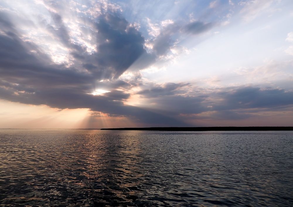 Фотография автора Роман Савоцкий