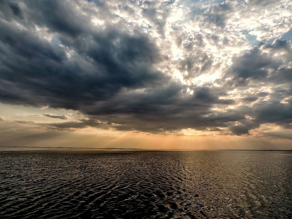 Фотография автора Роман Савоцкий