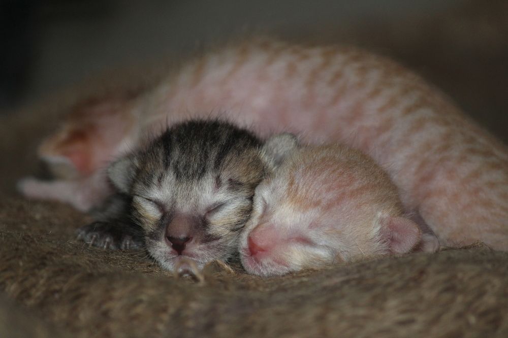 Photograph by Sharad vadoliya