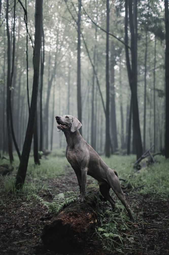 Photograph by Александра Липкина