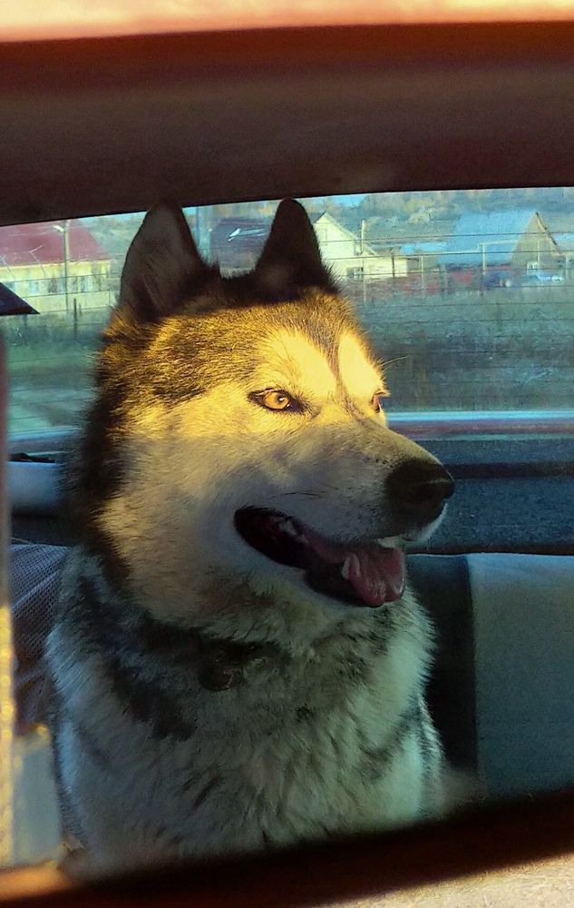 Photograph by Оксана Макарова