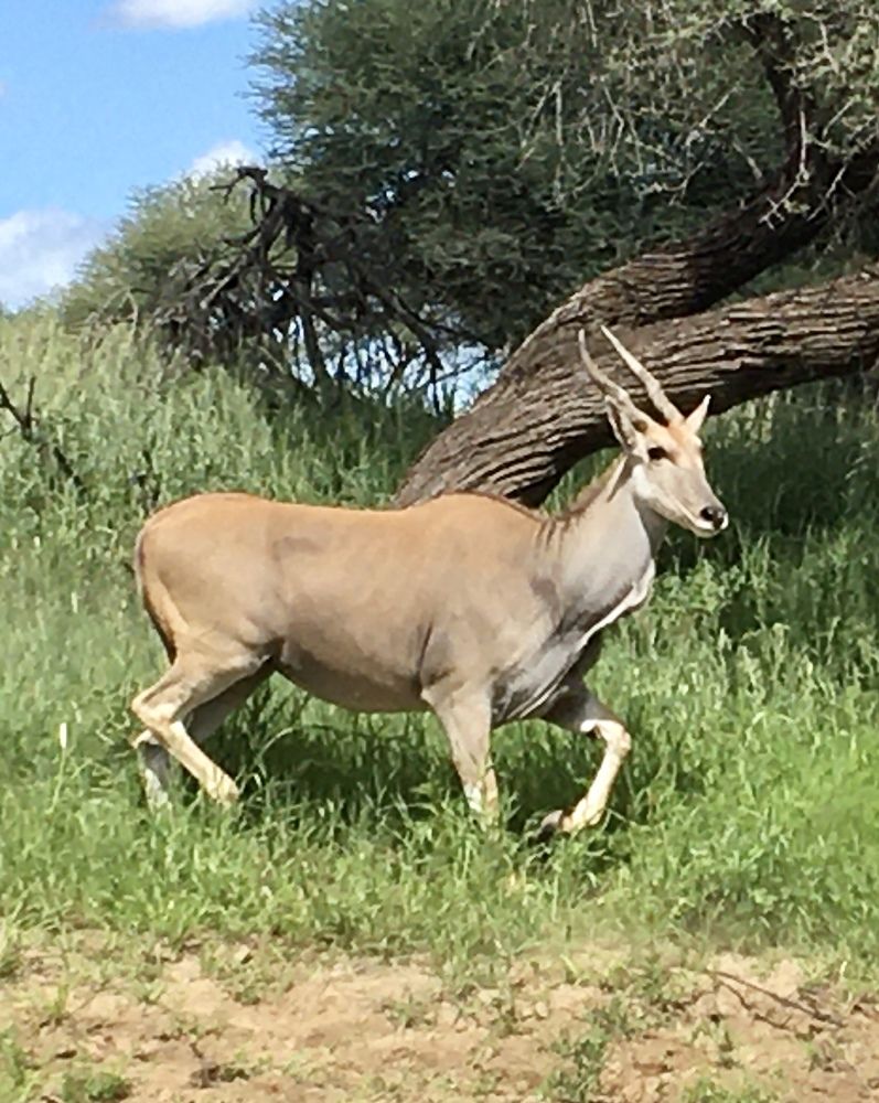 Photograph by Pierre Pienaar