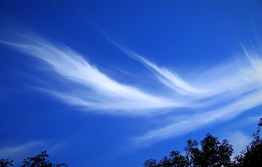 Хвост убегающего ультрамарина