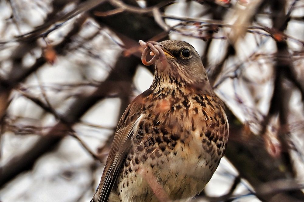 Photograph by Ирина