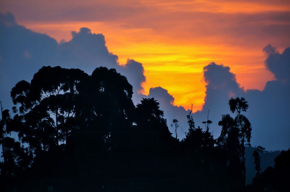 Photograph by Mahesh Krishna