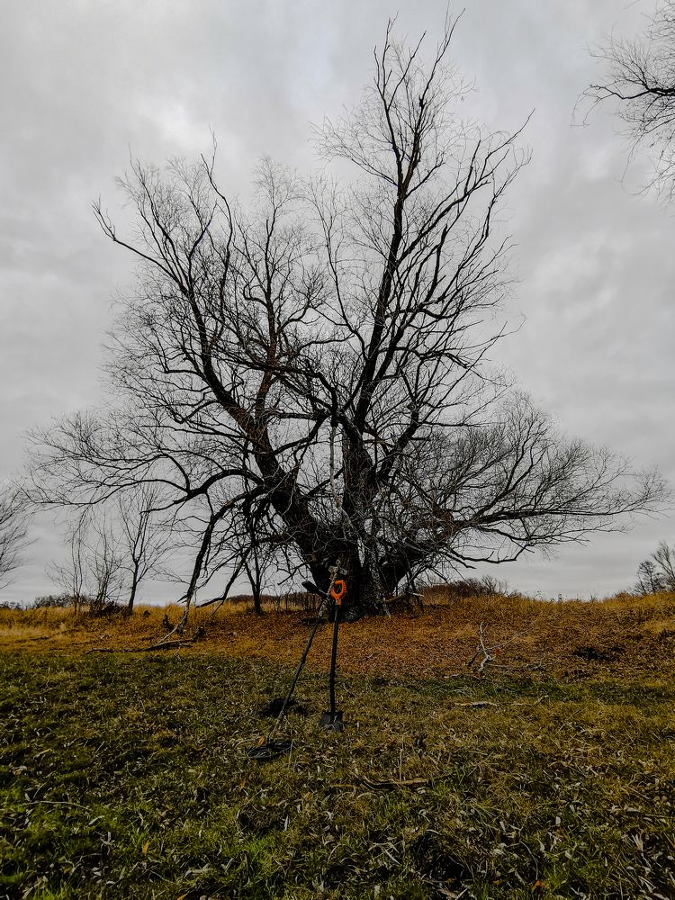 Photograph by Данил Батурин