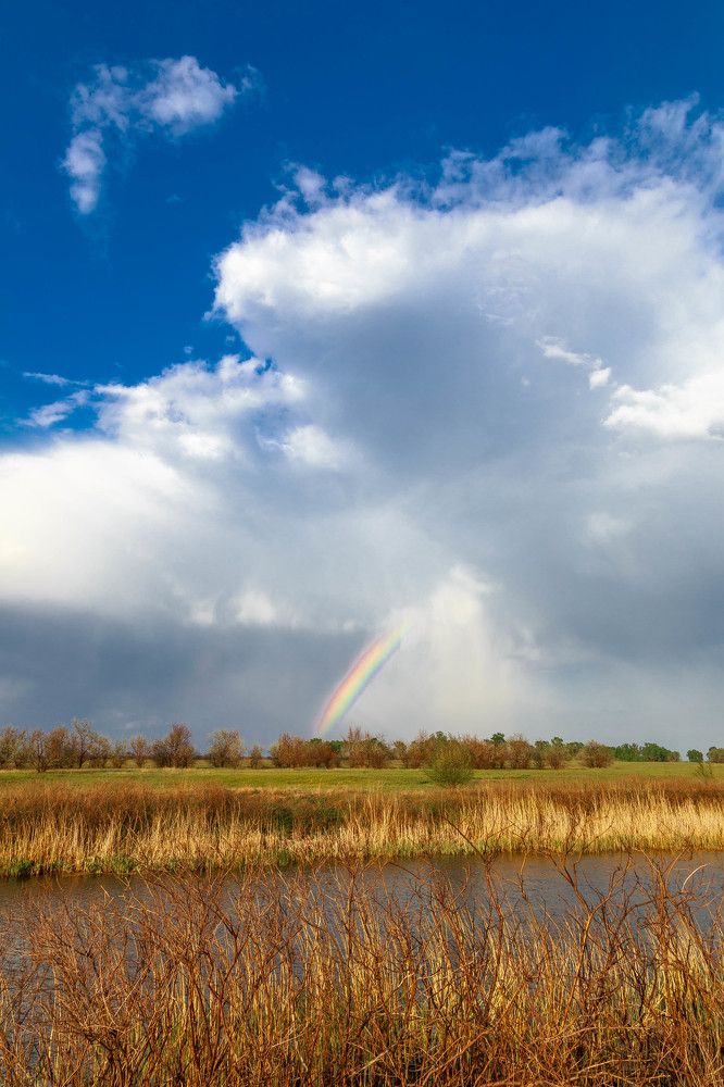 Photograph by Артем Талмаза