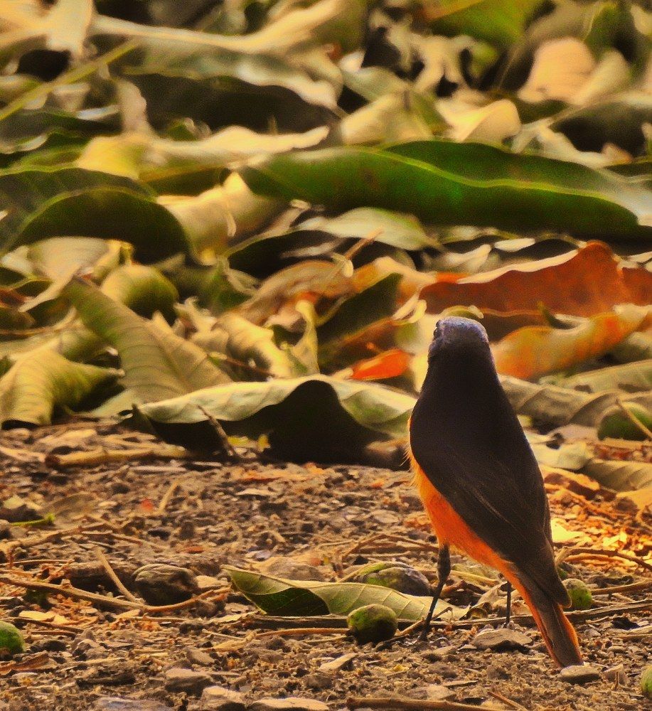 Photograph by Shivang Jindal