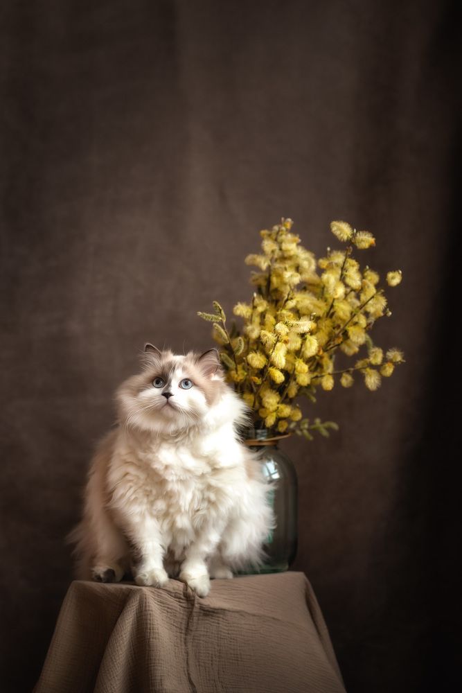 Photograph by Алексей и Юлия Дарьины