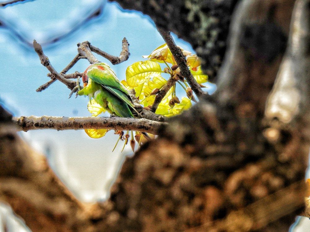 Photograph by Shivang Jindal