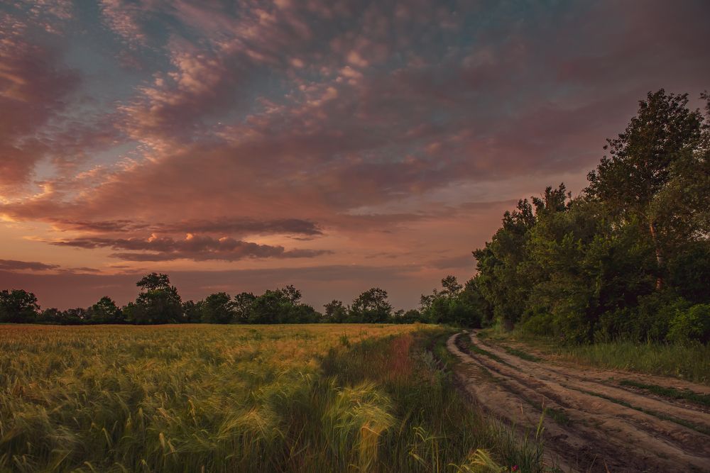Photograph by ЕВГЕНИЙ РУДЕНКО