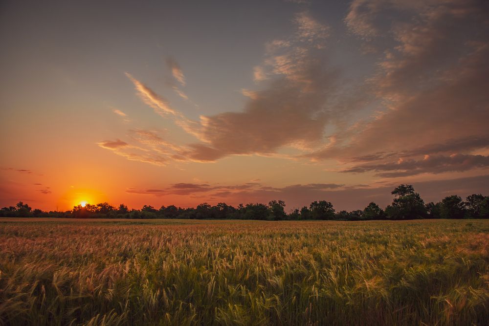Photograph by ЕВГЕНИЙ РУДЕНКО