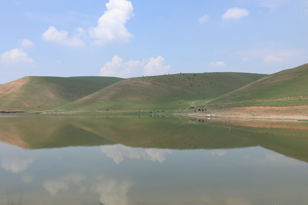 Photograph by Ekaterina