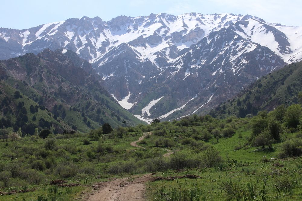 Photograph by Ekaterina