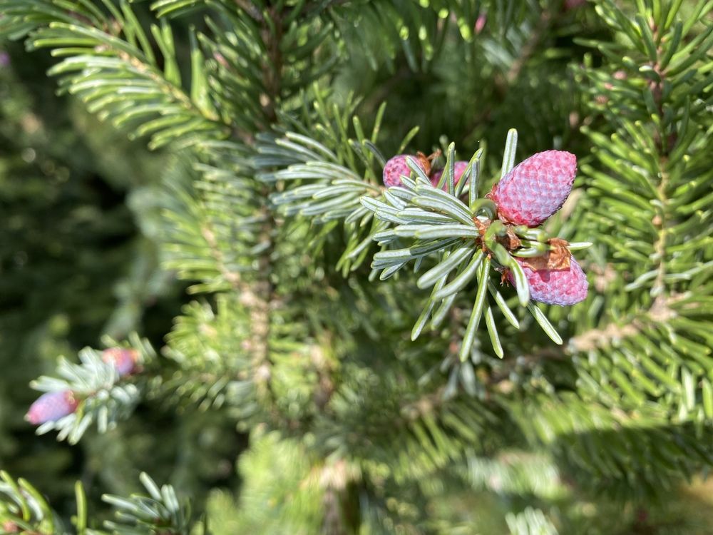 Photograph by Олександр Подмарков