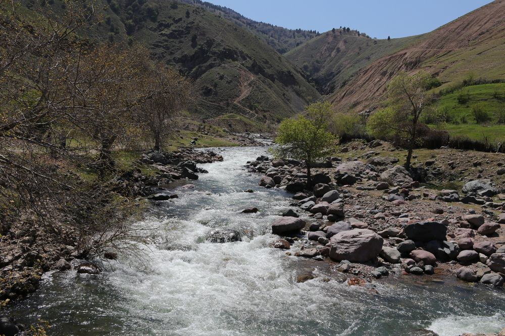 Photograph by Ekaterina