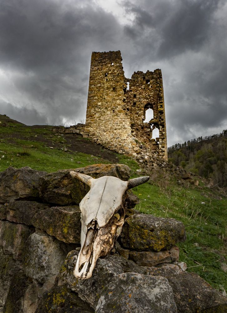 Родовой комплекс Ний. Ингушетия