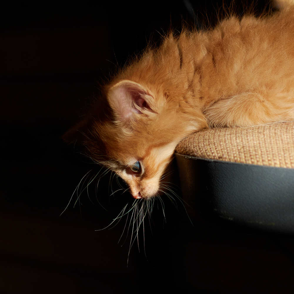 Photograph by Настя Сущева