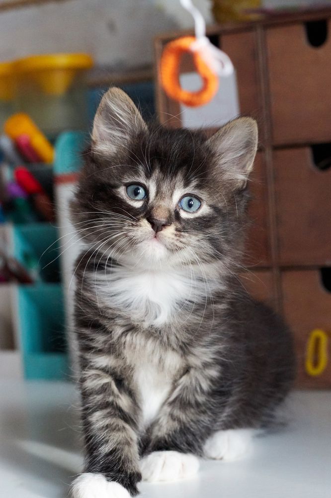 Photograph by Настя Сущева