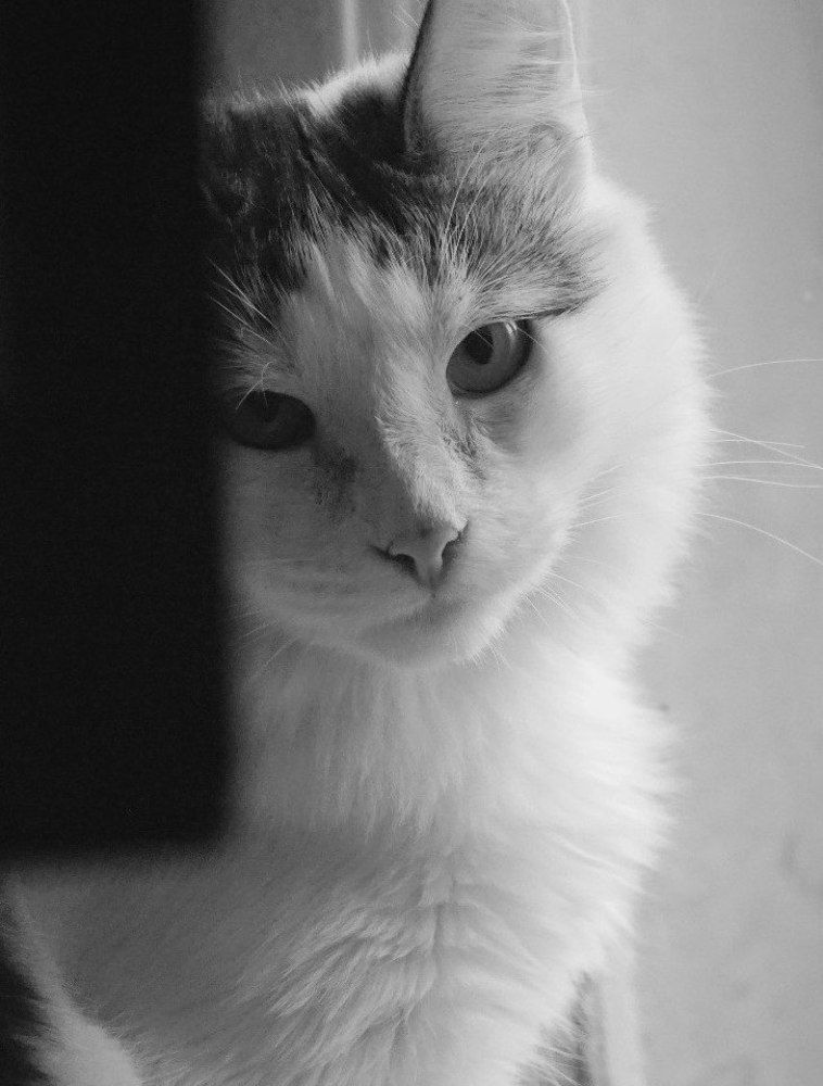 Photograph by Михаил Ханукович