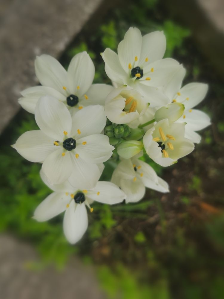 Фотография автора Maria Tsitoura