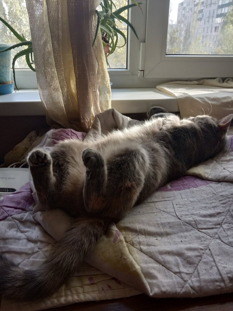 Солнечные ванны.