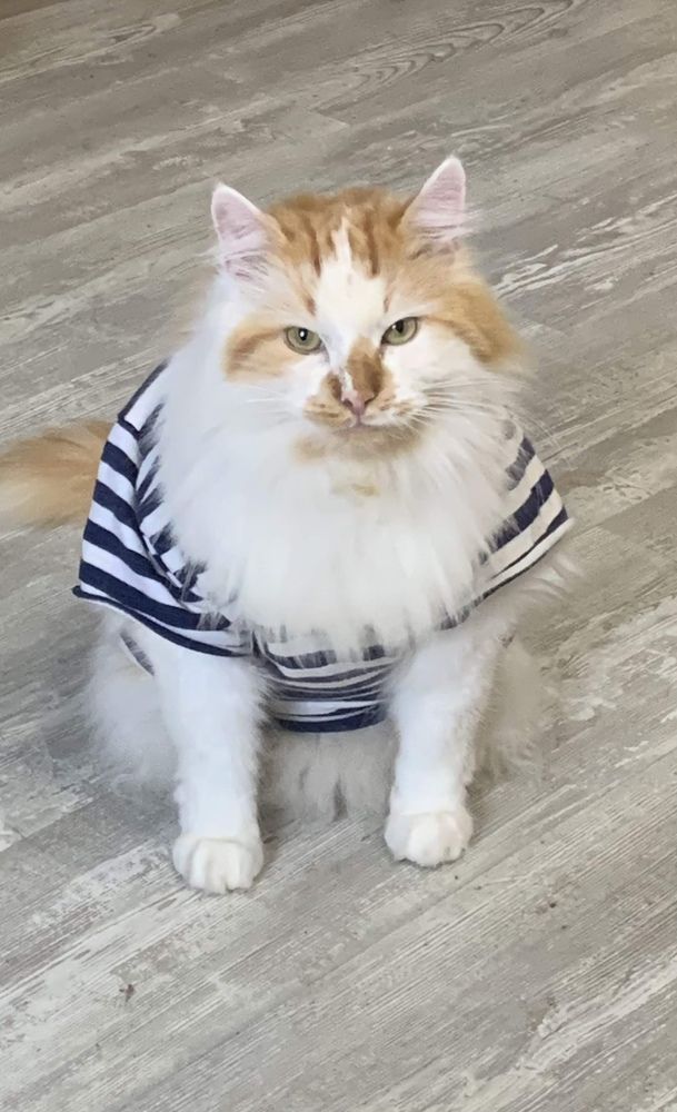 Photograph by Михаил Ханукович