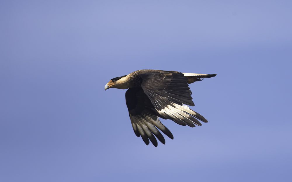 Photograph by Edilene Guerra