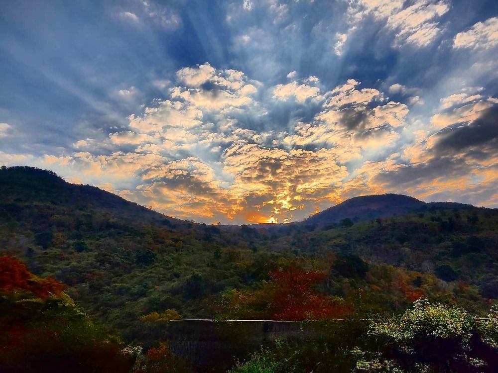 Photograph by SAMARJEET BEHERA