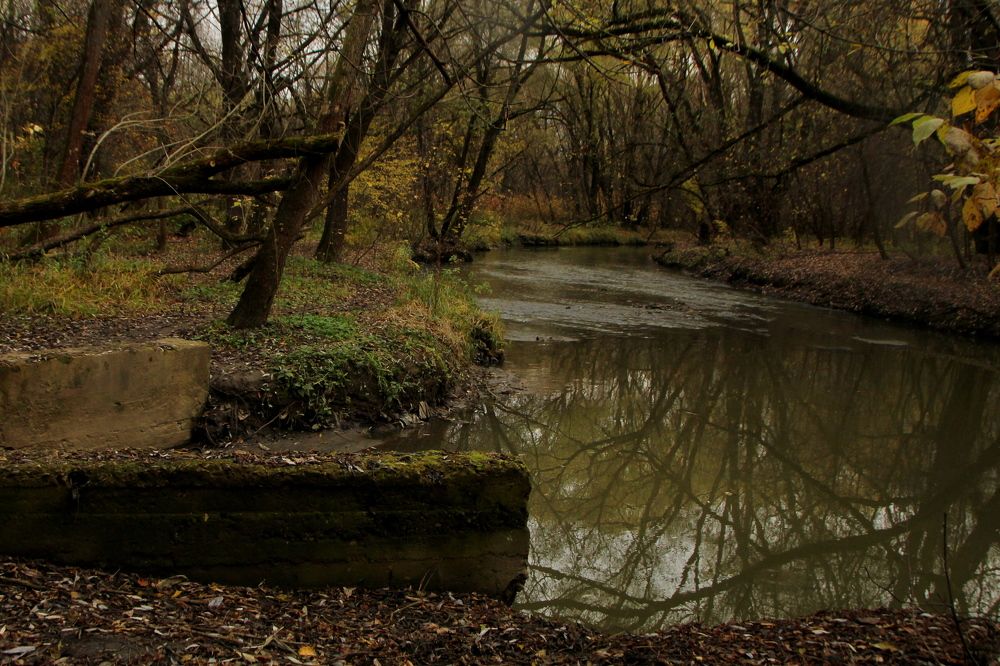 Photograph by Илья Беликов