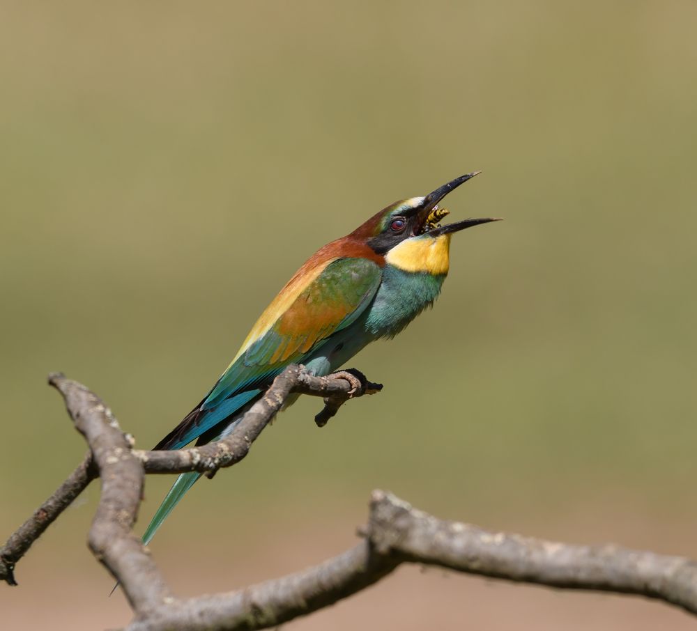 Photograph by Luis Miguel Rivas