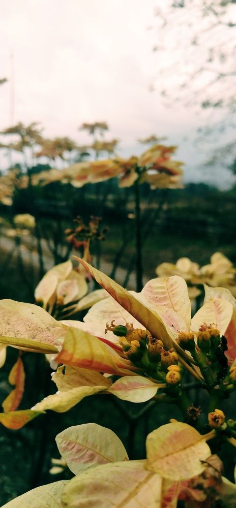 Photo #6092246
