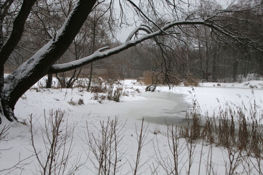 Photograph by Илья Беликов