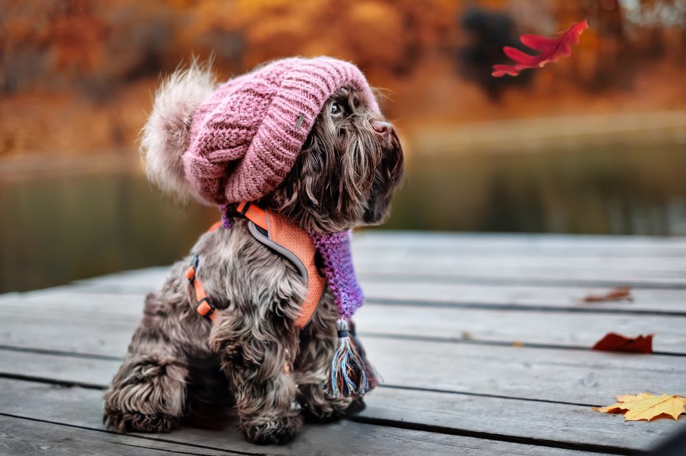 Фотография автора Евгения Тузова