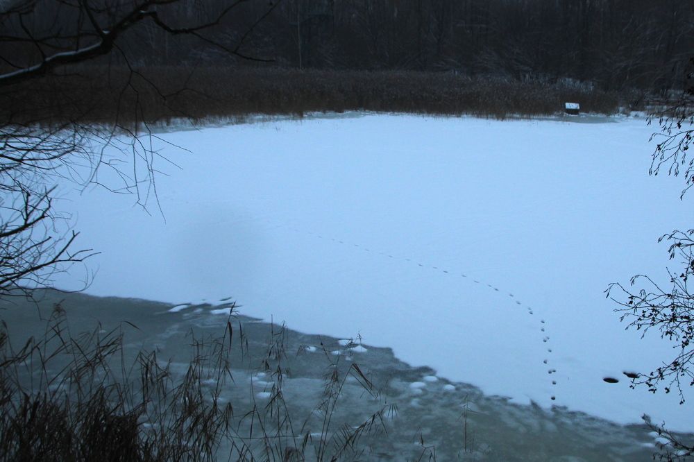 Photograph by Илья Беликов