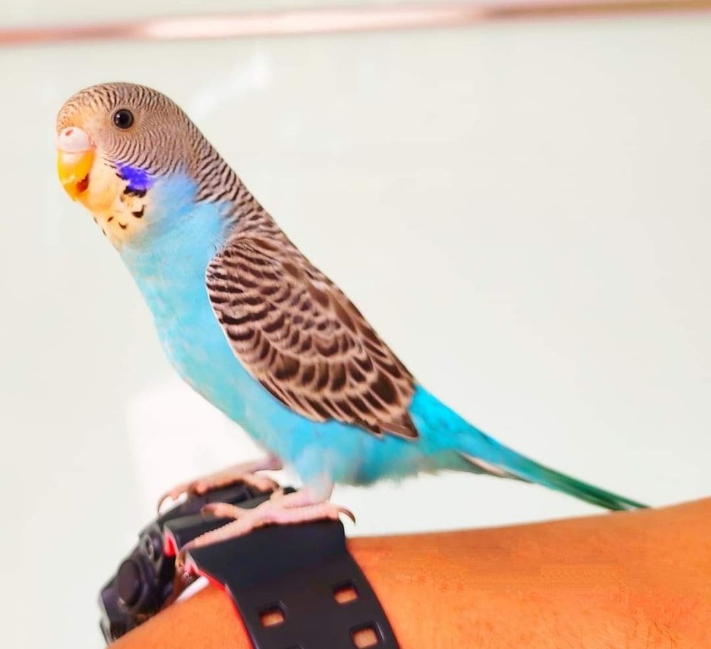 Photograph by Valdez Jonathan