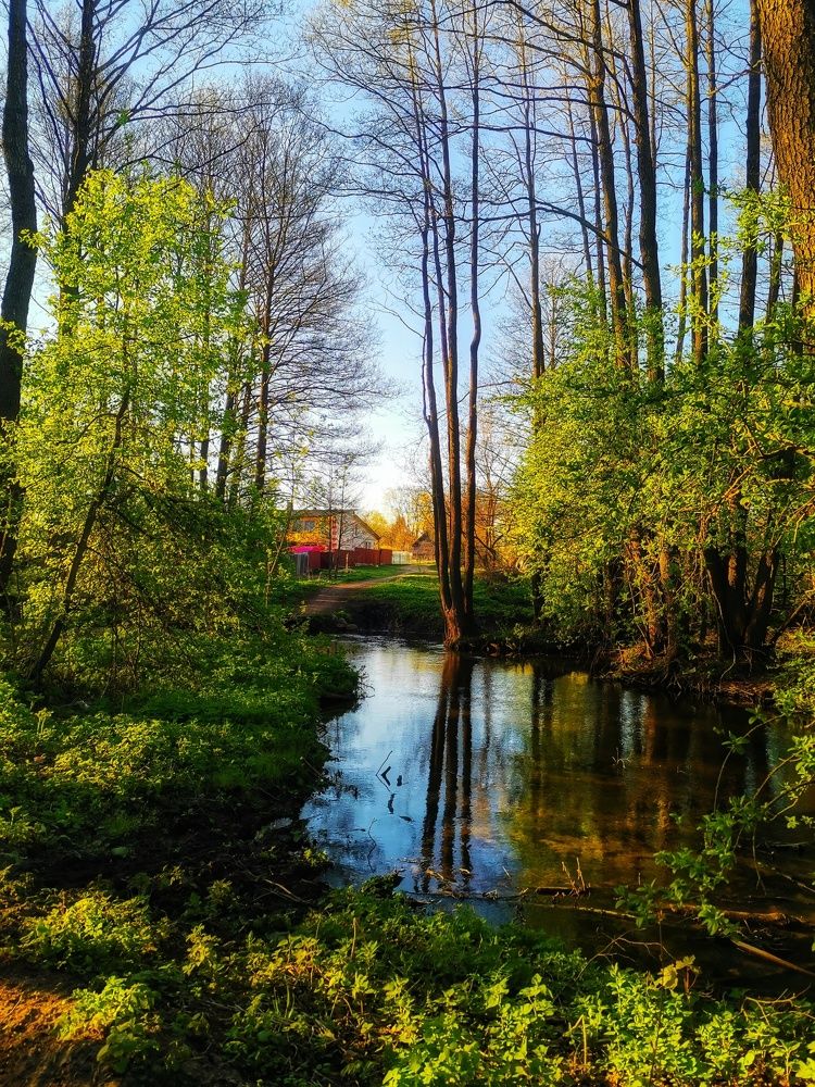 Photograph by Екатерина Ремез