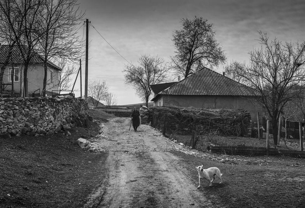 Photograph by Валерия Маркова