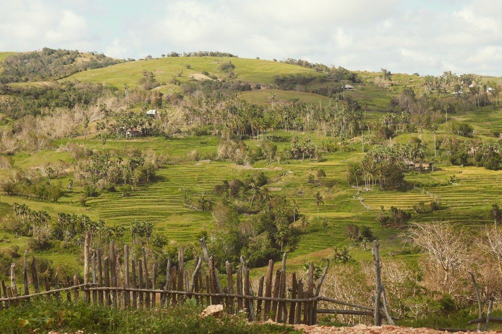 Beauty behind the Cyclone damage