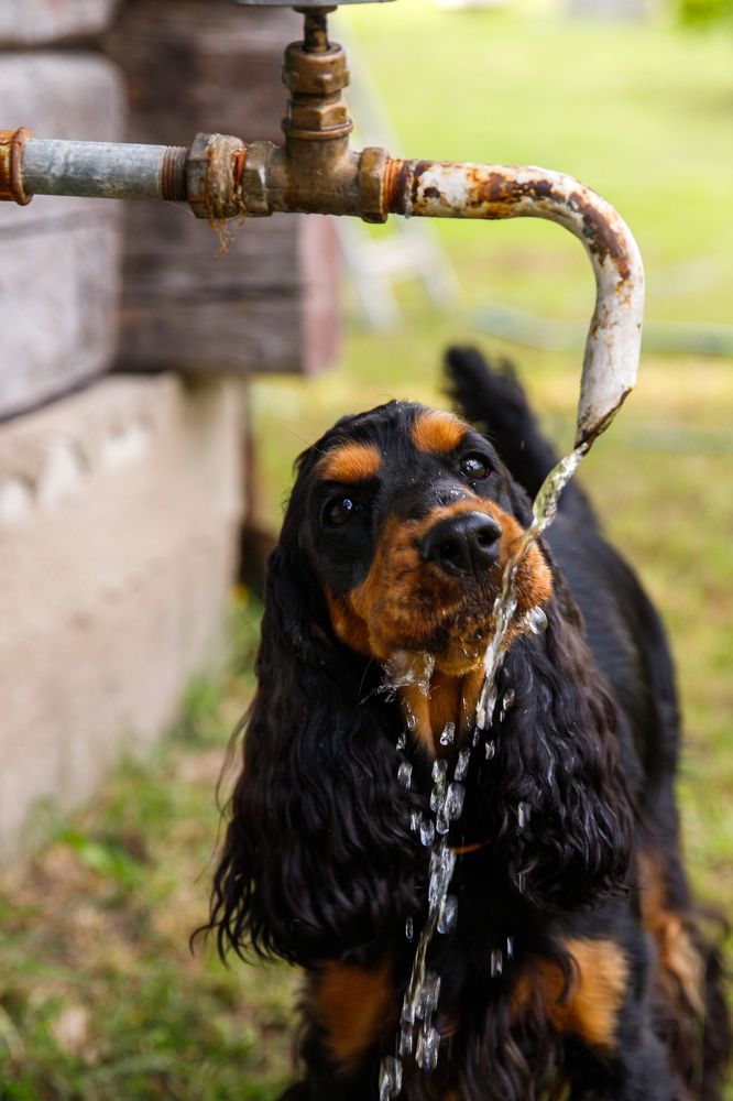 Фотография автора Гудкова Светлана