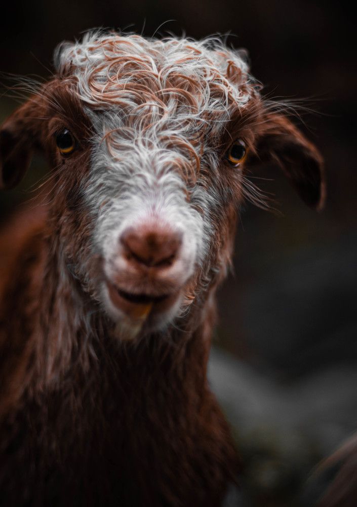 Photograph by Rishi Vyas